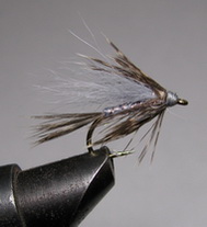 ���� ������ Wet fly 